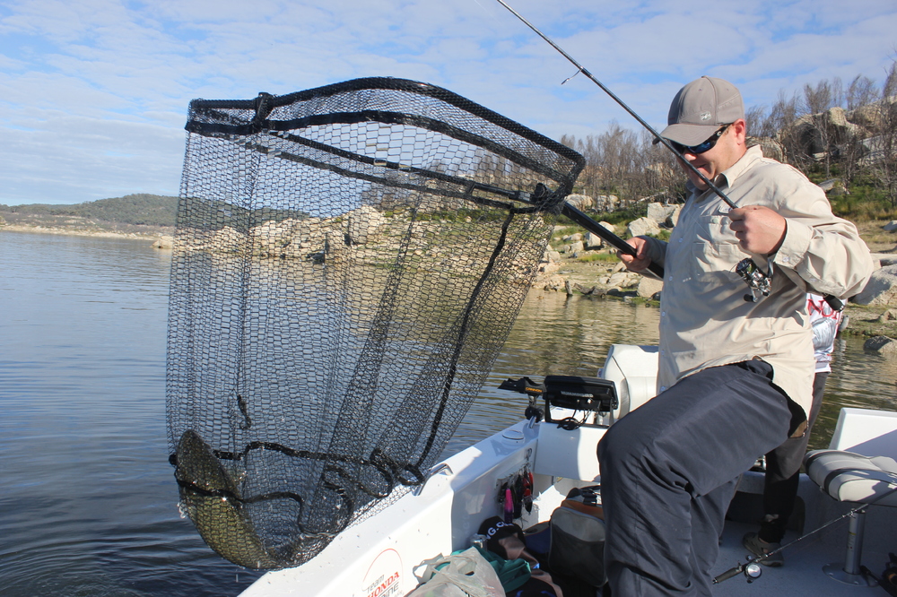 Wilson Fishing – Folding Landing Nets